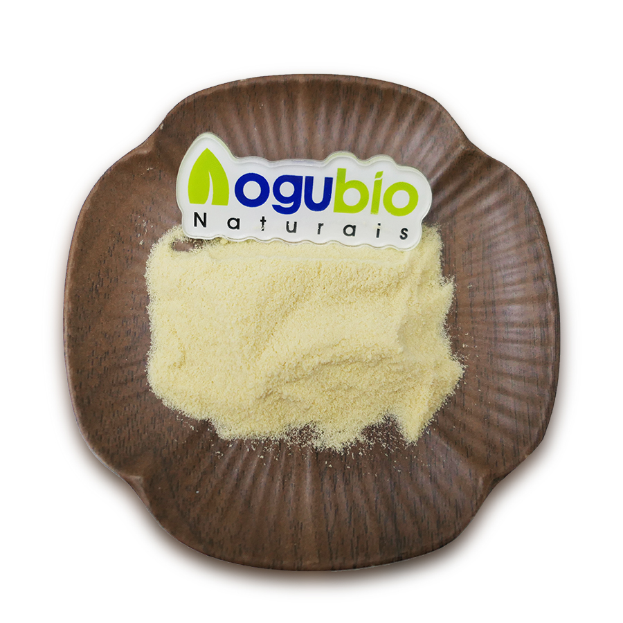 AOGUBIO Pure Natural Spermidine Supplement Wheat Germ Extract 0.5% 1% Spermidine Powder for Cell Membrane