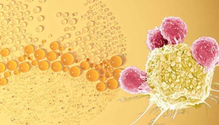 The strongest combination0