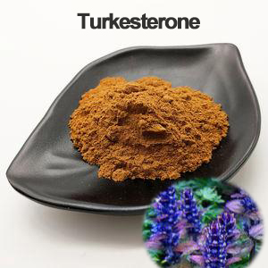 Turkesterone