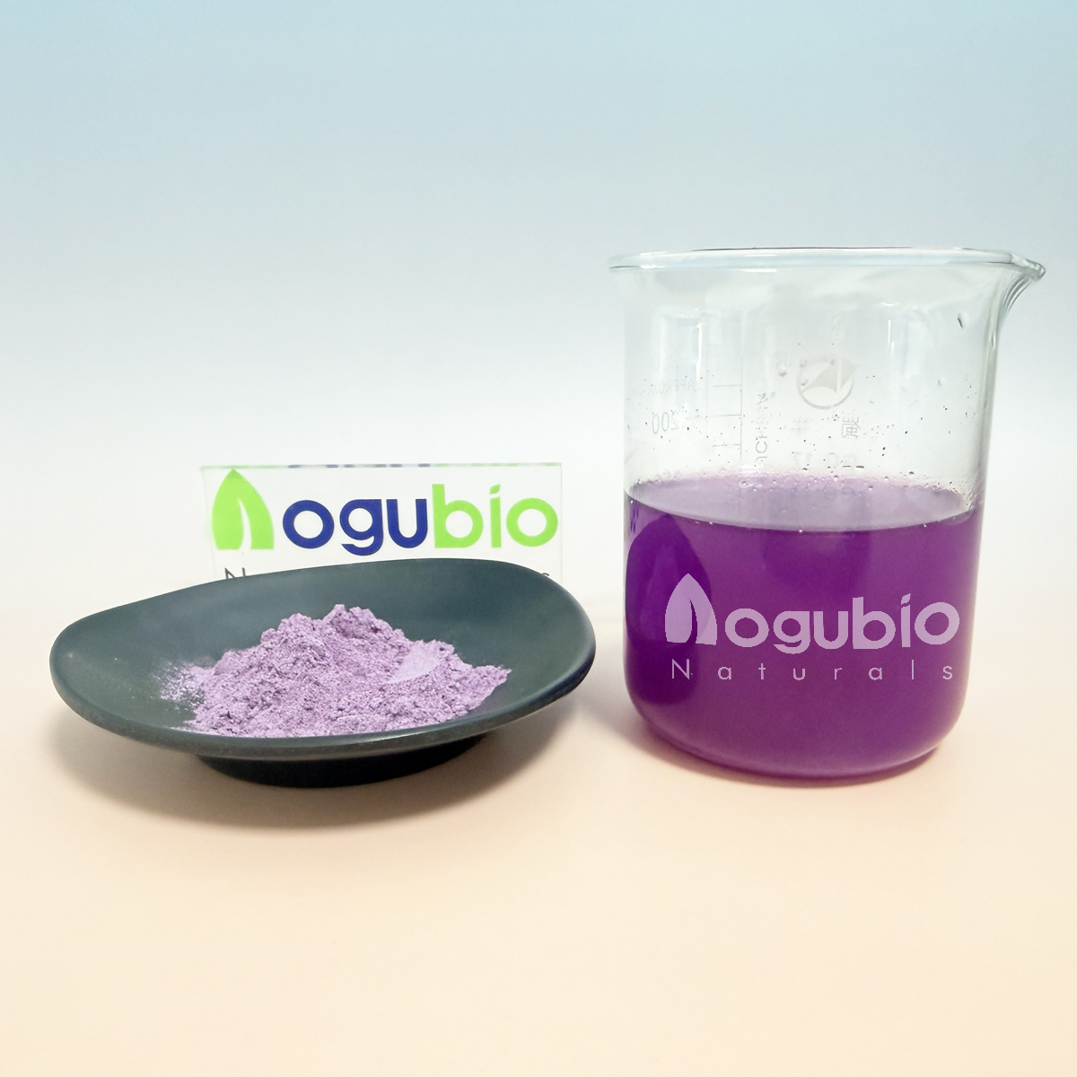 Ube powder3
