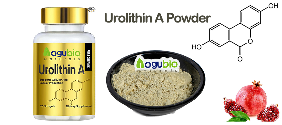 Urolithin-A-Powder-1