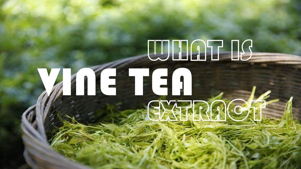 Providing Vine Tea Extract for a Healthier Lifestyle