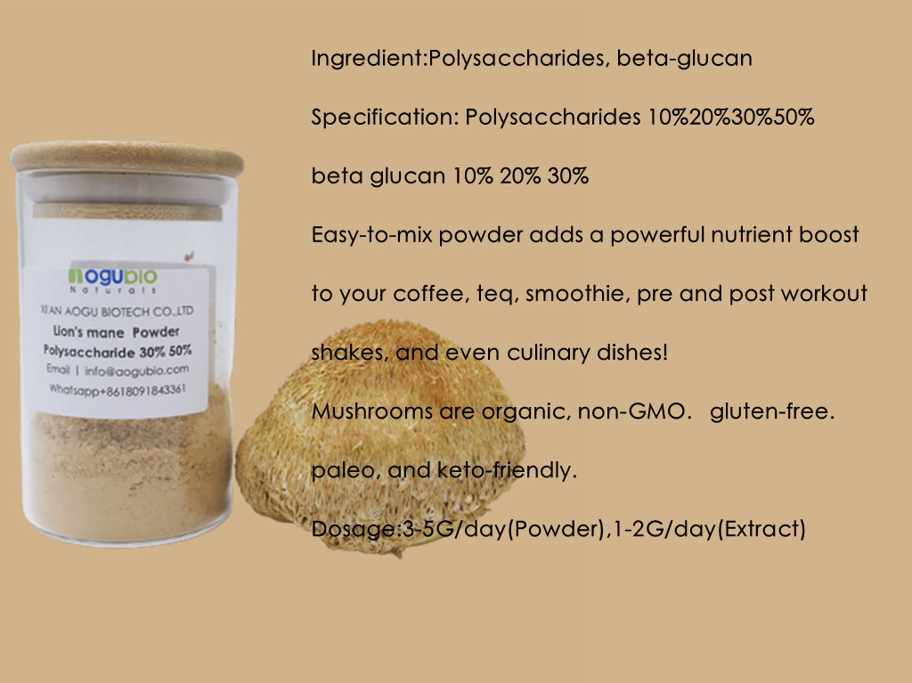 What Is Mushroom Extract Powder And What Can It Do For You5