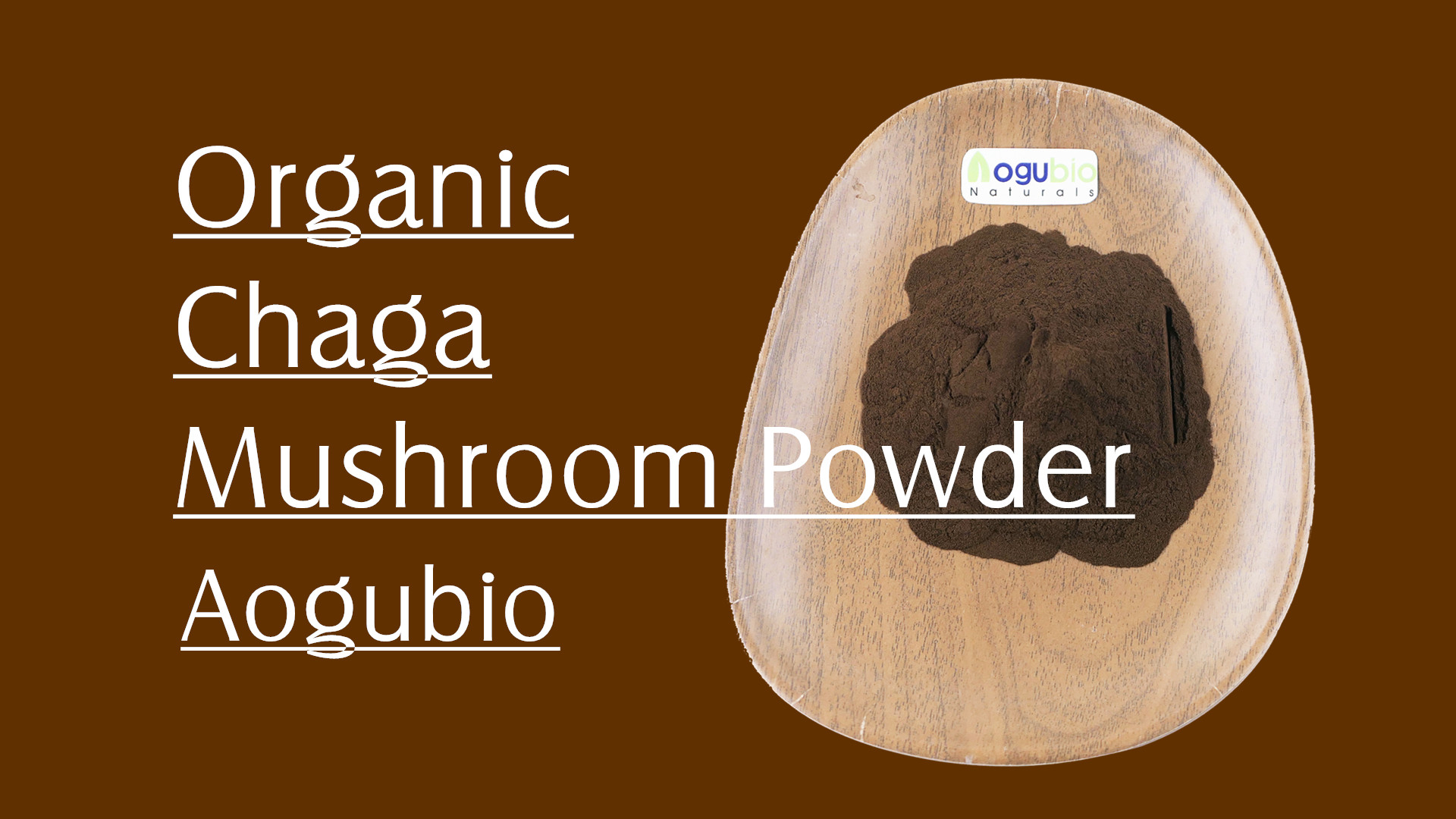 What Is Mushroom Extract Powder And What Can It Do For You6