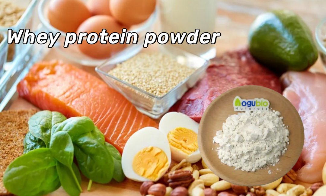 The Benefits of Using Whey Protein Powder