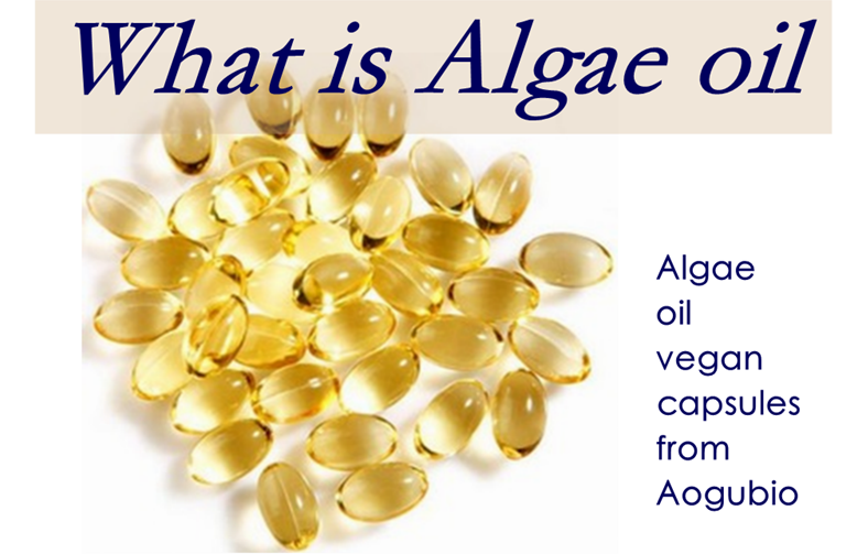 algae oil capsule