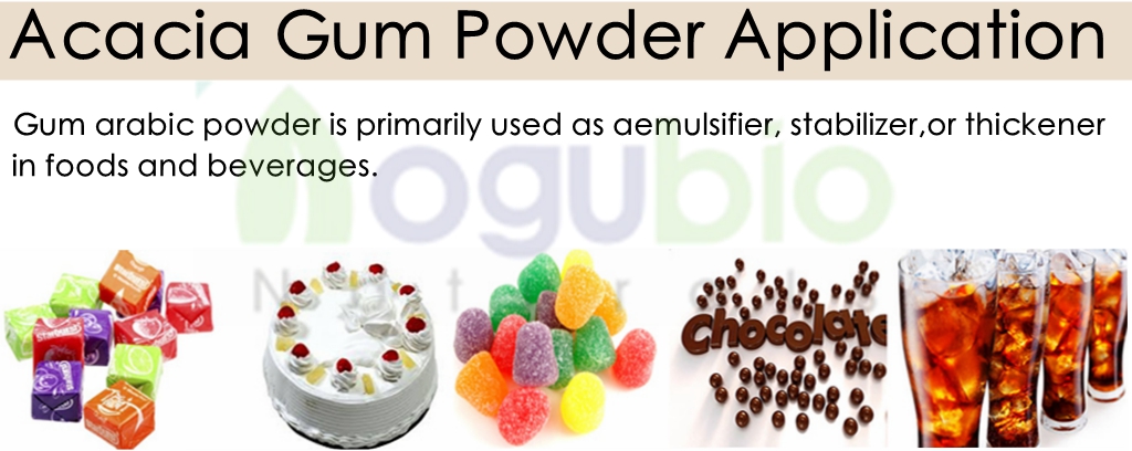 arabic gum powder 2