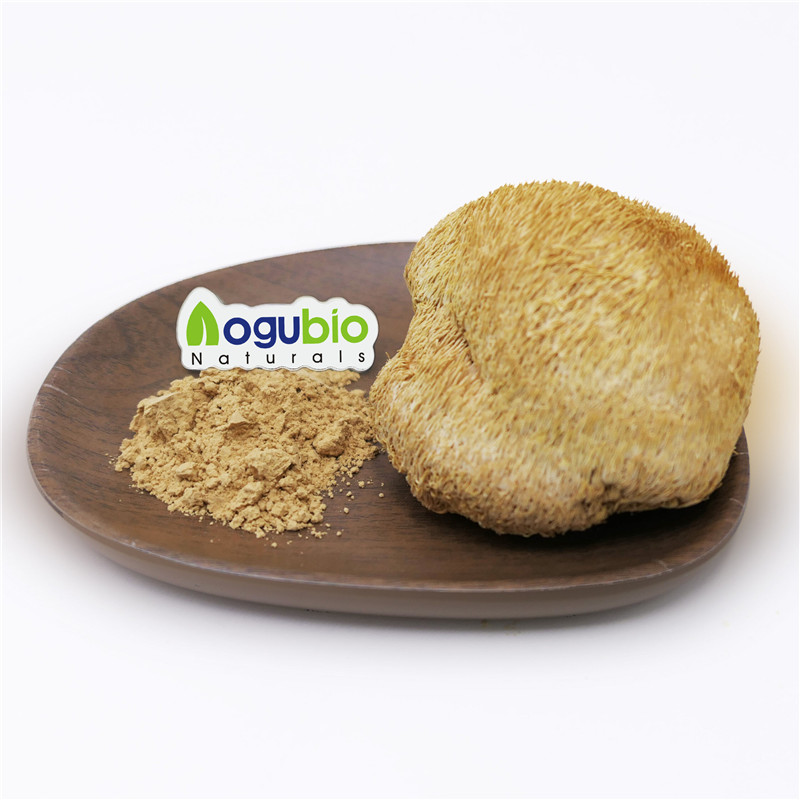 100% USDA certified organic Lion’s Mane Mushroom Powder