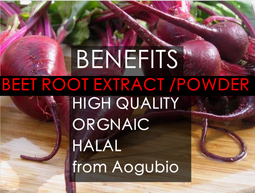 beet root powder 1