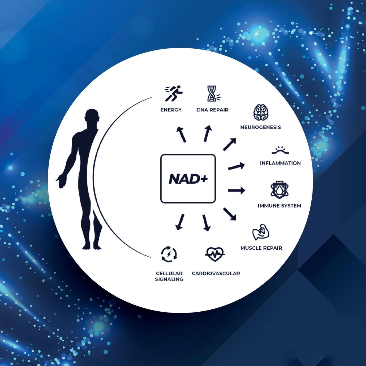 benefits-of-nad-