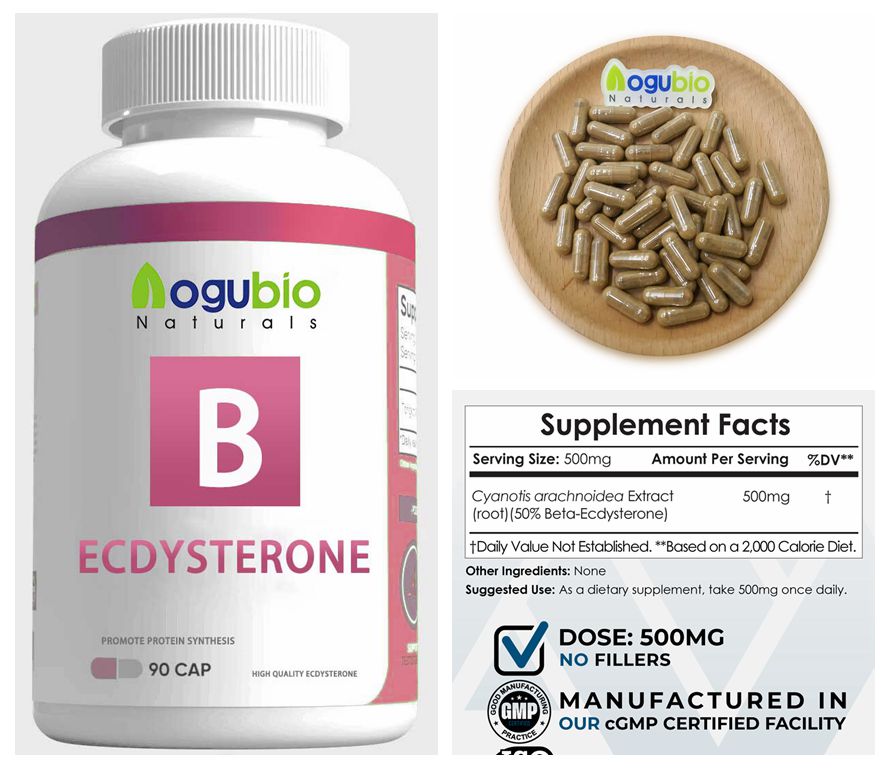 beta ecdysterone capsules