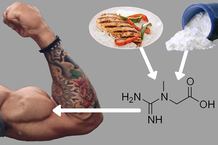 beta ecdysterone