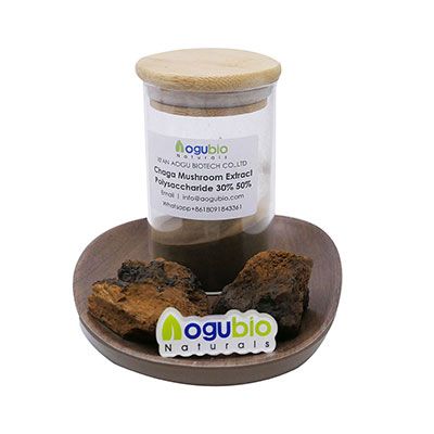 100% Organic Natural Chaga Mushroom Extract from AOGUBIO