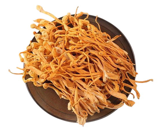 cordyceps militaris extract