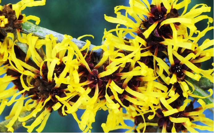 d7cc7a4d-b2e8-41f1-884e-3e2bacece49f