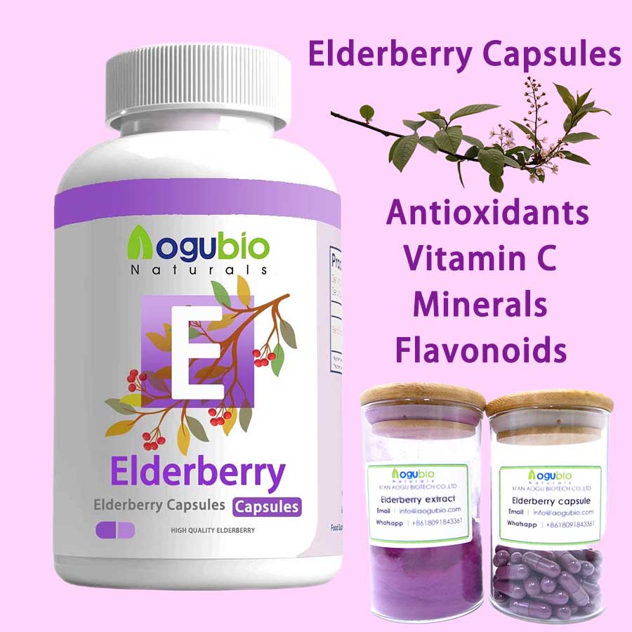 100% Pure Natural Fresh Elderberry Powder Online