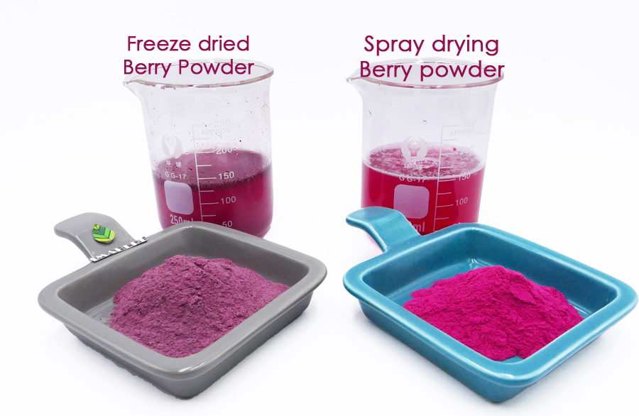 fruit powder 2