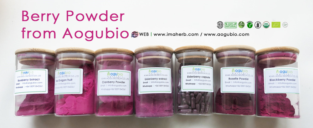 fruit powder 3