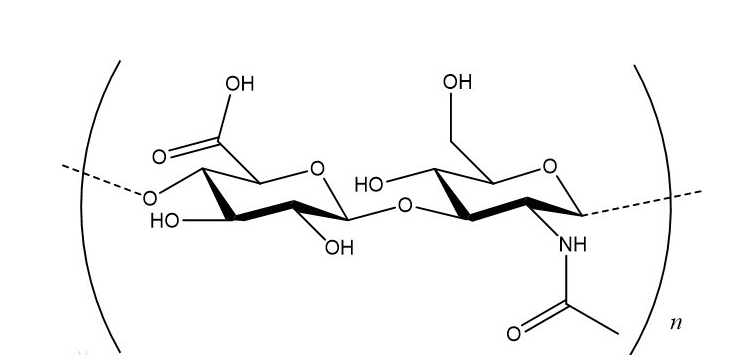 hyaluronic acid 2