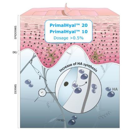 hyaluronic acid 5