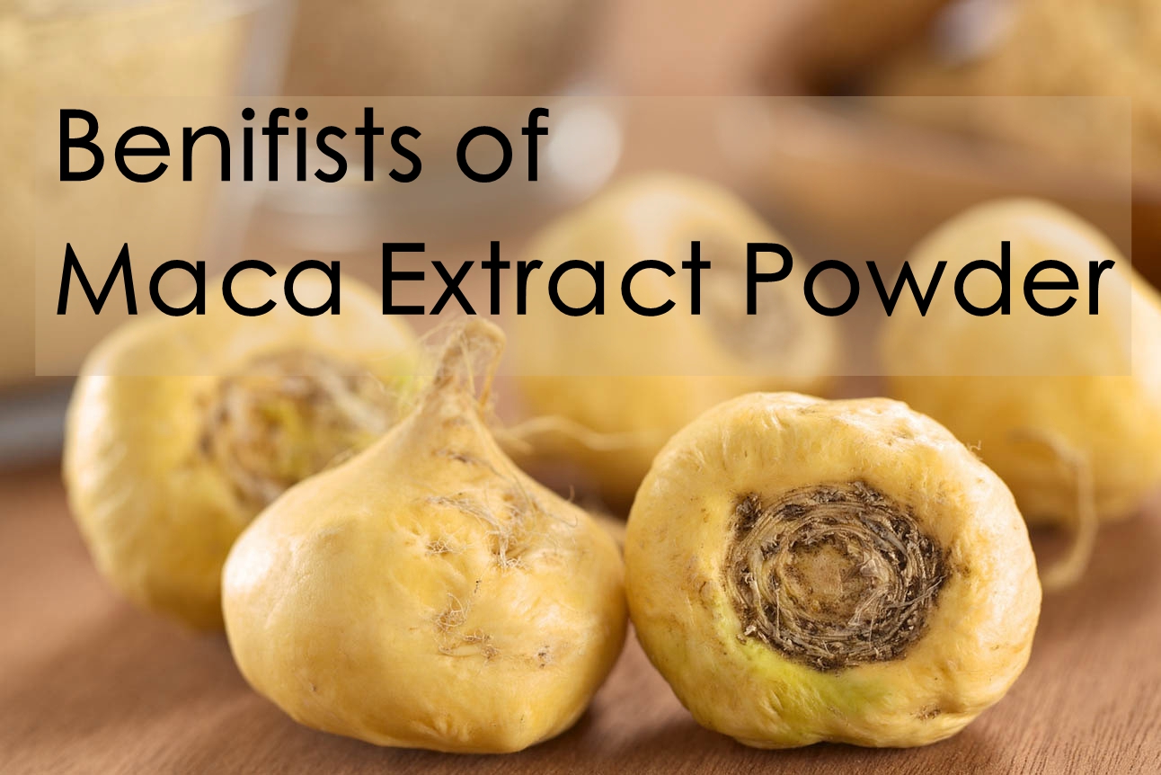 maca extract 1