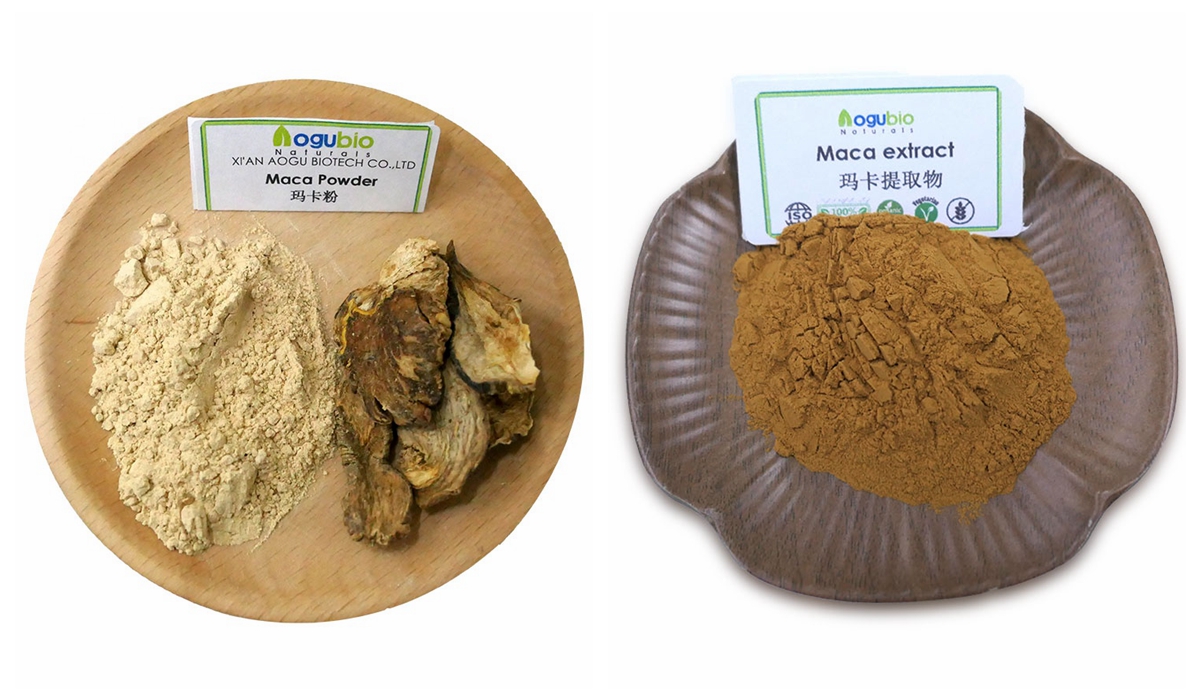 maca extract 3