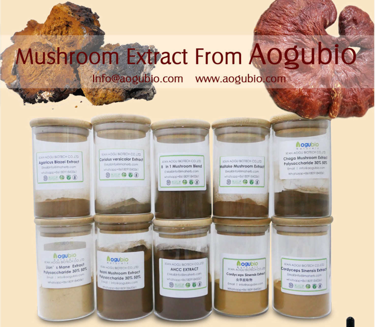 mushroom--Shilajit Extract