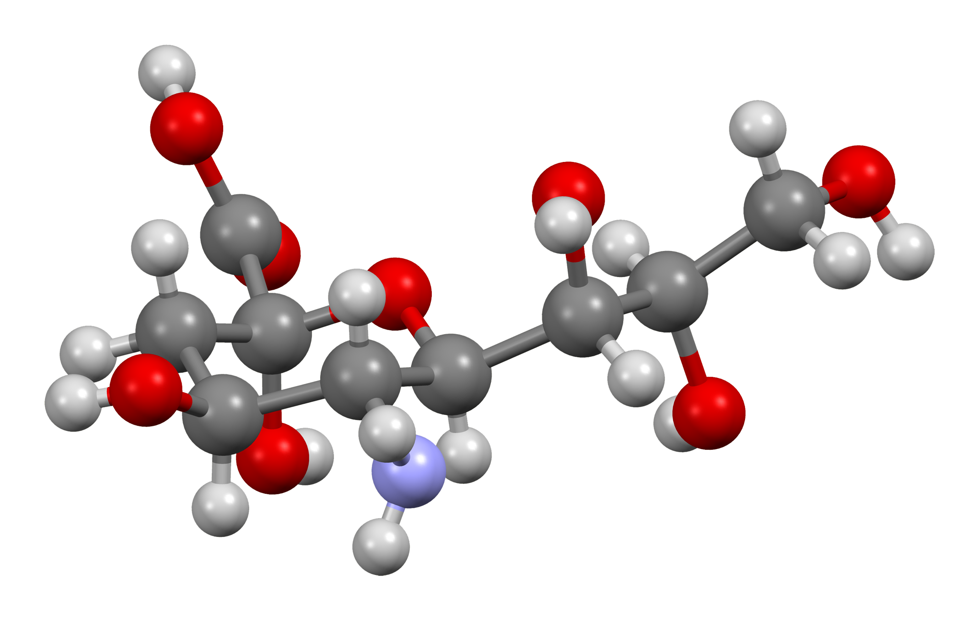 neuraminic acid1