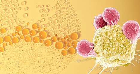 The strongest combination—- Spermidine+NMN(Nicotinamide Mononucleotide)