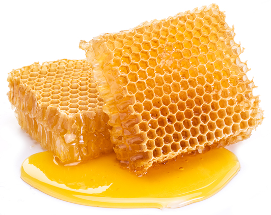 Honeycomb on a white background.  High-quality picture.