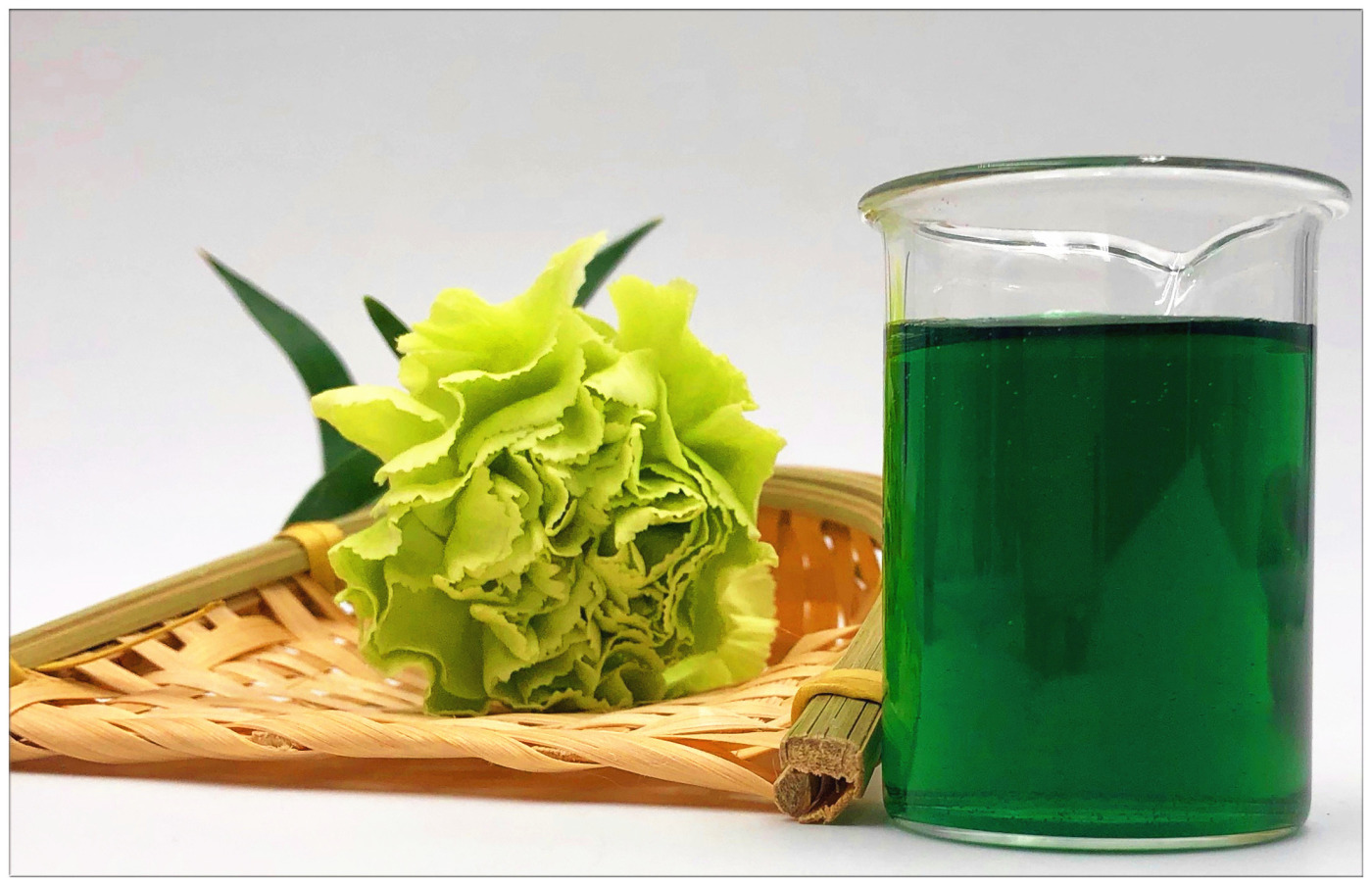 Sodium copper chlorophyllin is a natural green pigment popular in the food and cosmetics industries.