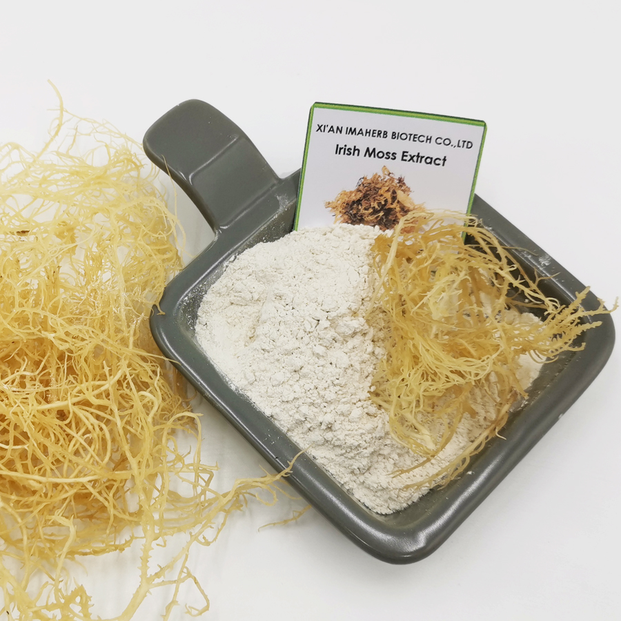 Pure Irish Moss Extract/Sea moss Bladderwrack Extract Powder/sea moss powder
