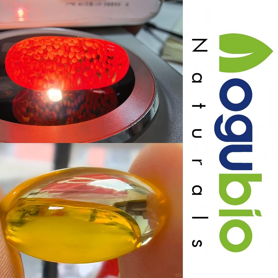 photobank - 2026-01-04T174425.230(1)