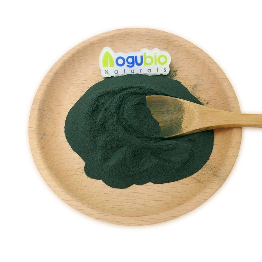 Pure Natural Aphanizomenon Flos- aquae Extract Powder AFA algae Powder