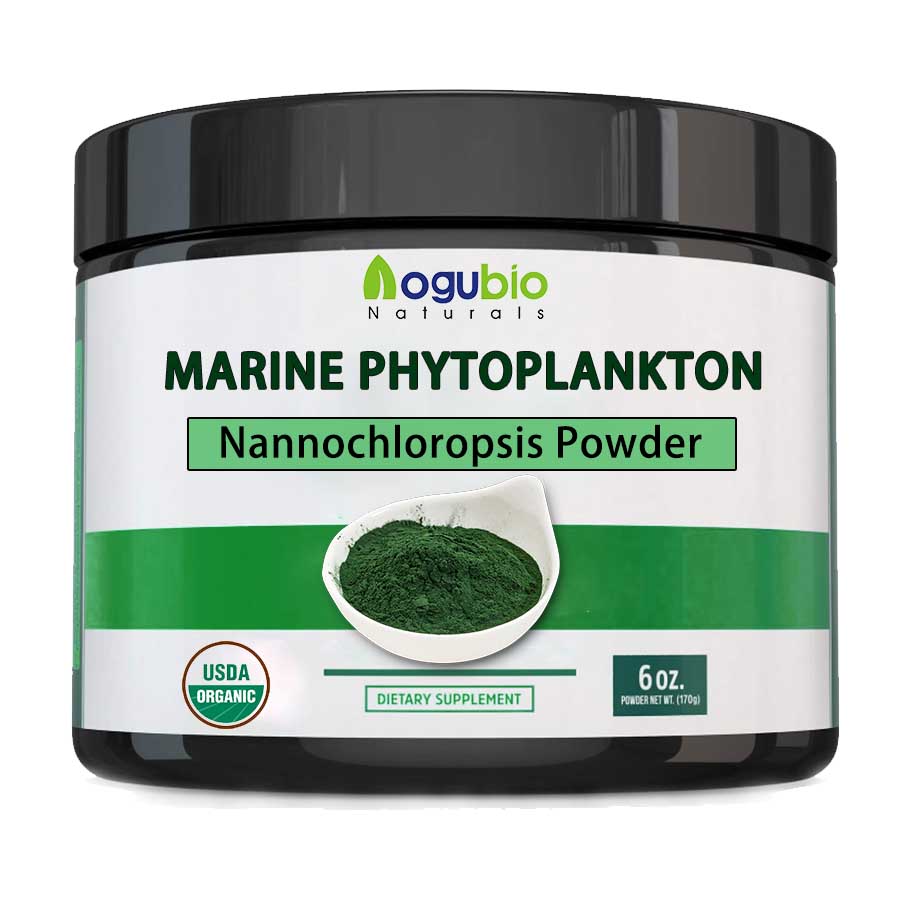 Nannochloropsis powder