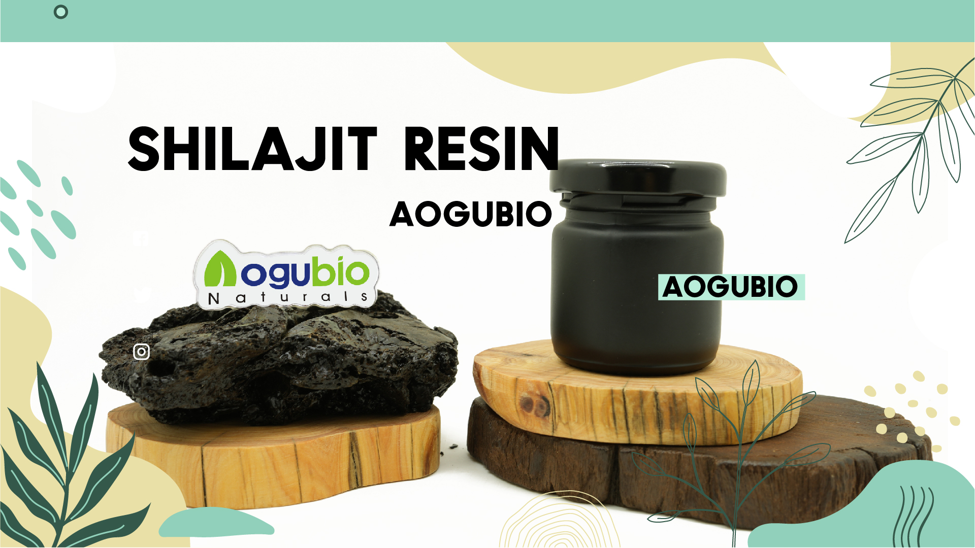 shilajit resin