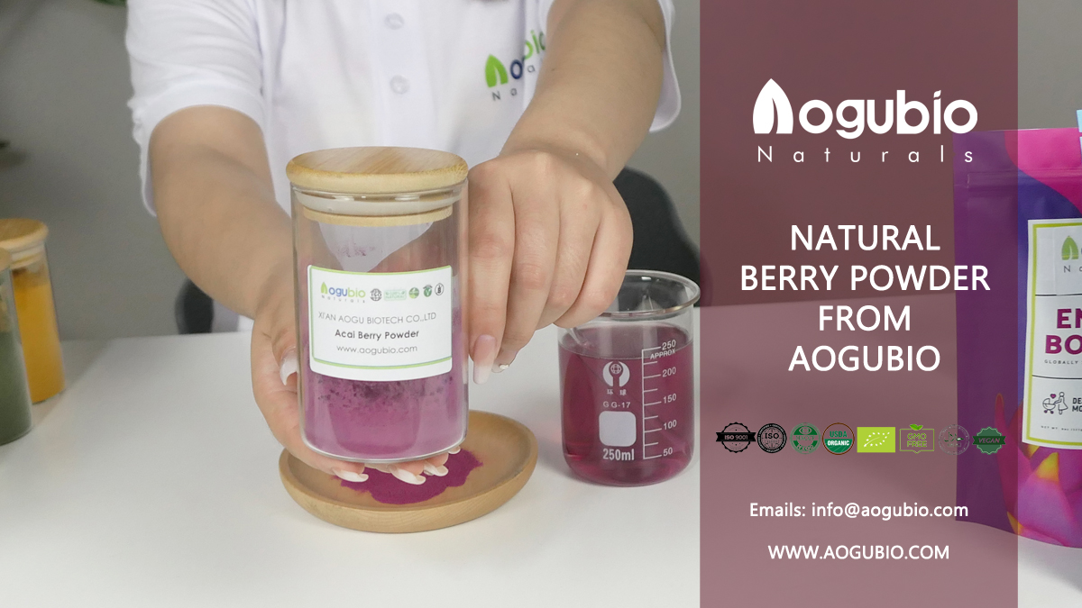 Acai Juice Powder