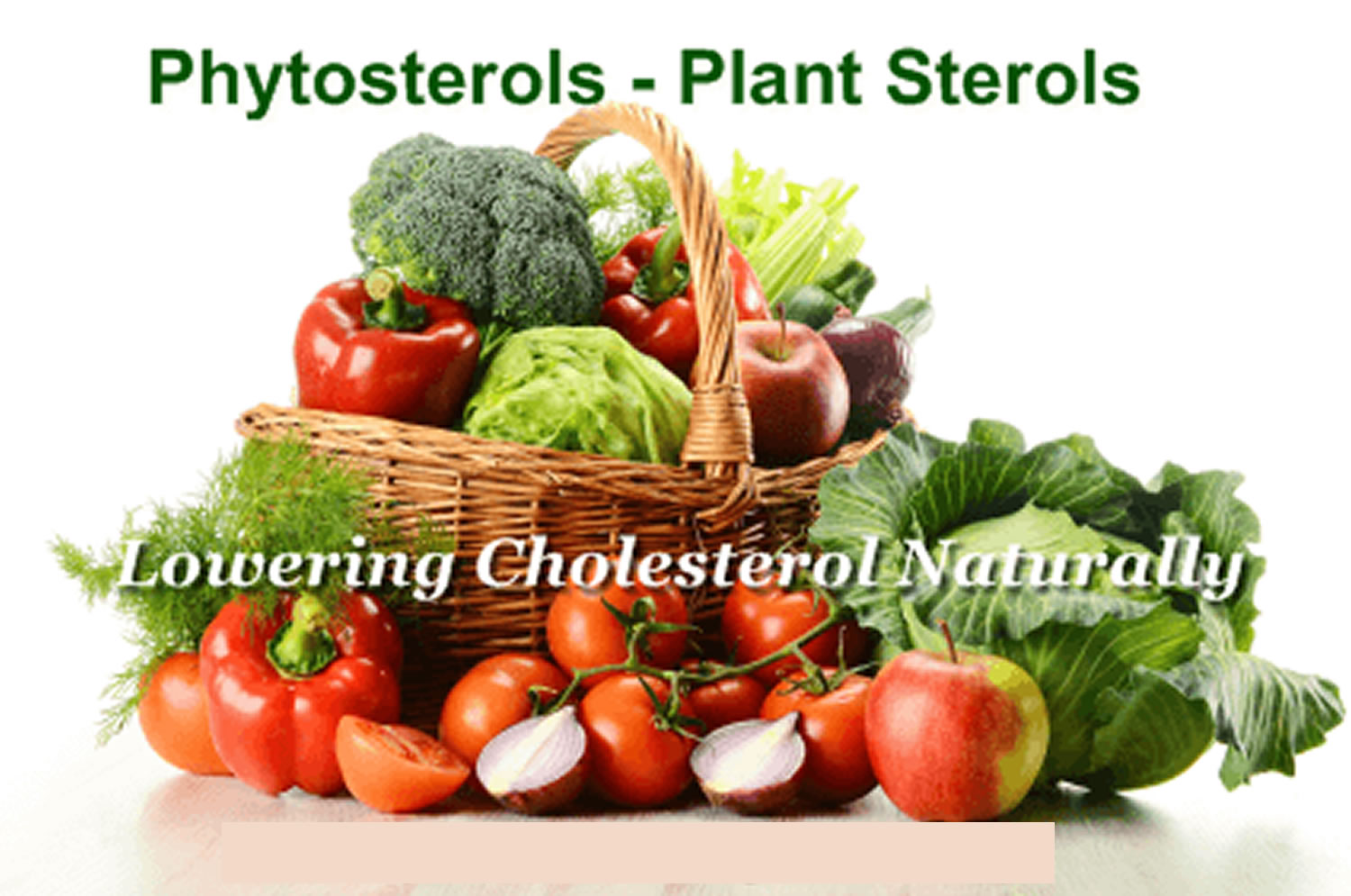 Phytosterols: Sourced from Soybean and Pine Trees