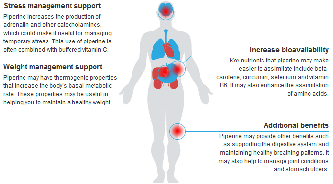 piperine-benefits-diagram