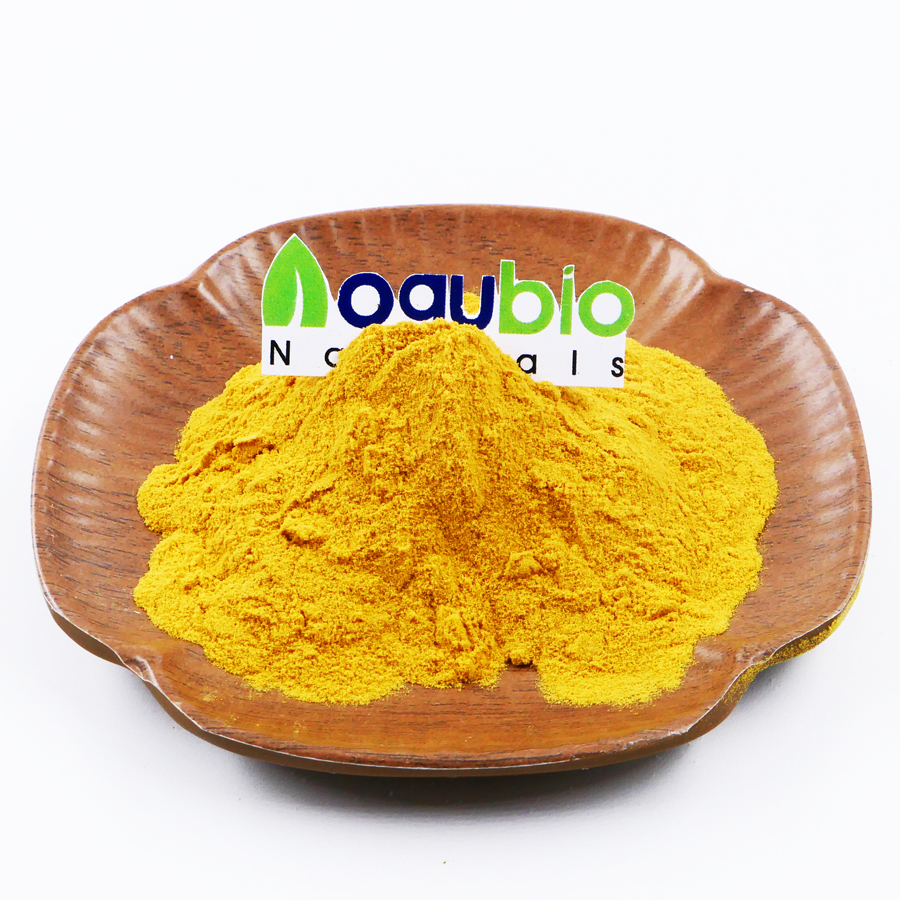 Hot Selling Organic Goji Berries Powder