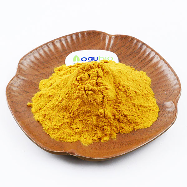 Wholesale ODM 100% Natural Passion Flower Extract 4% Flavones