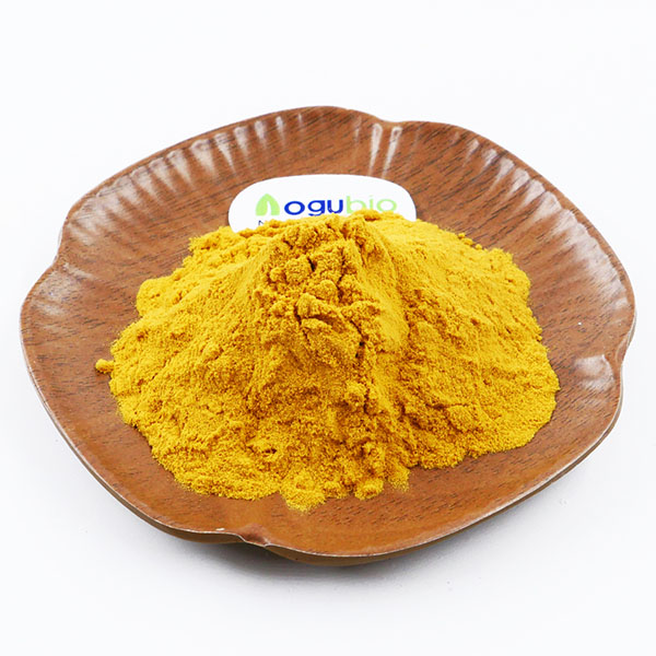 Cistanche Tubulosa Extract Powder