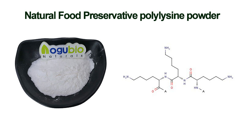 polylysine-powder