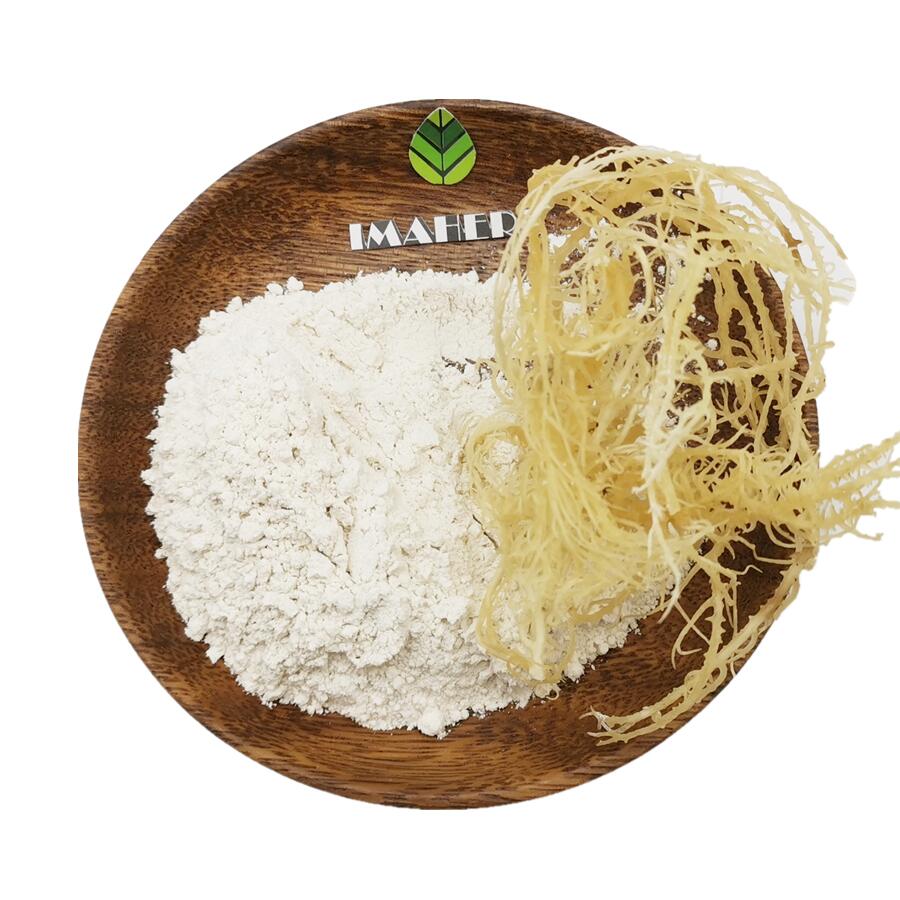 Sea Moss Powder Takes Your Health to The Next Level