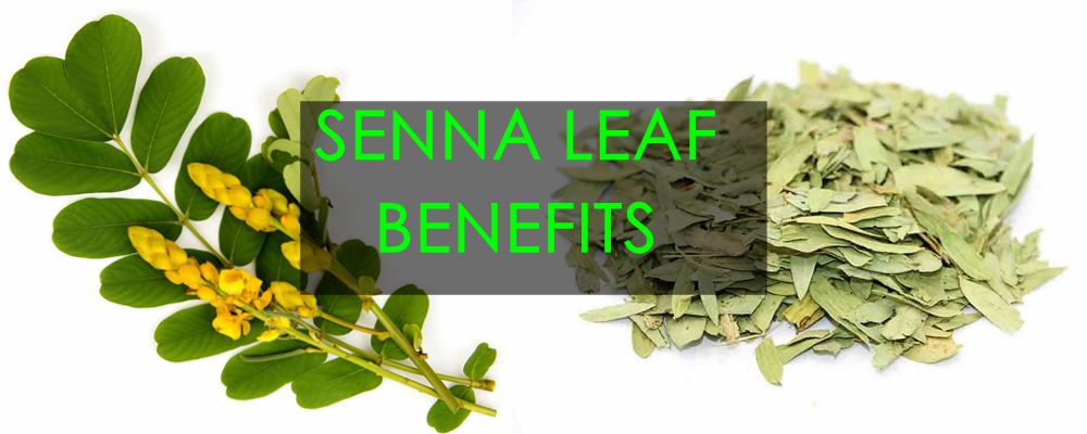 senna leaf extract 1