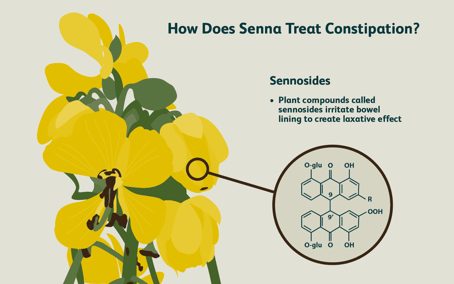 senna leaf extract 3