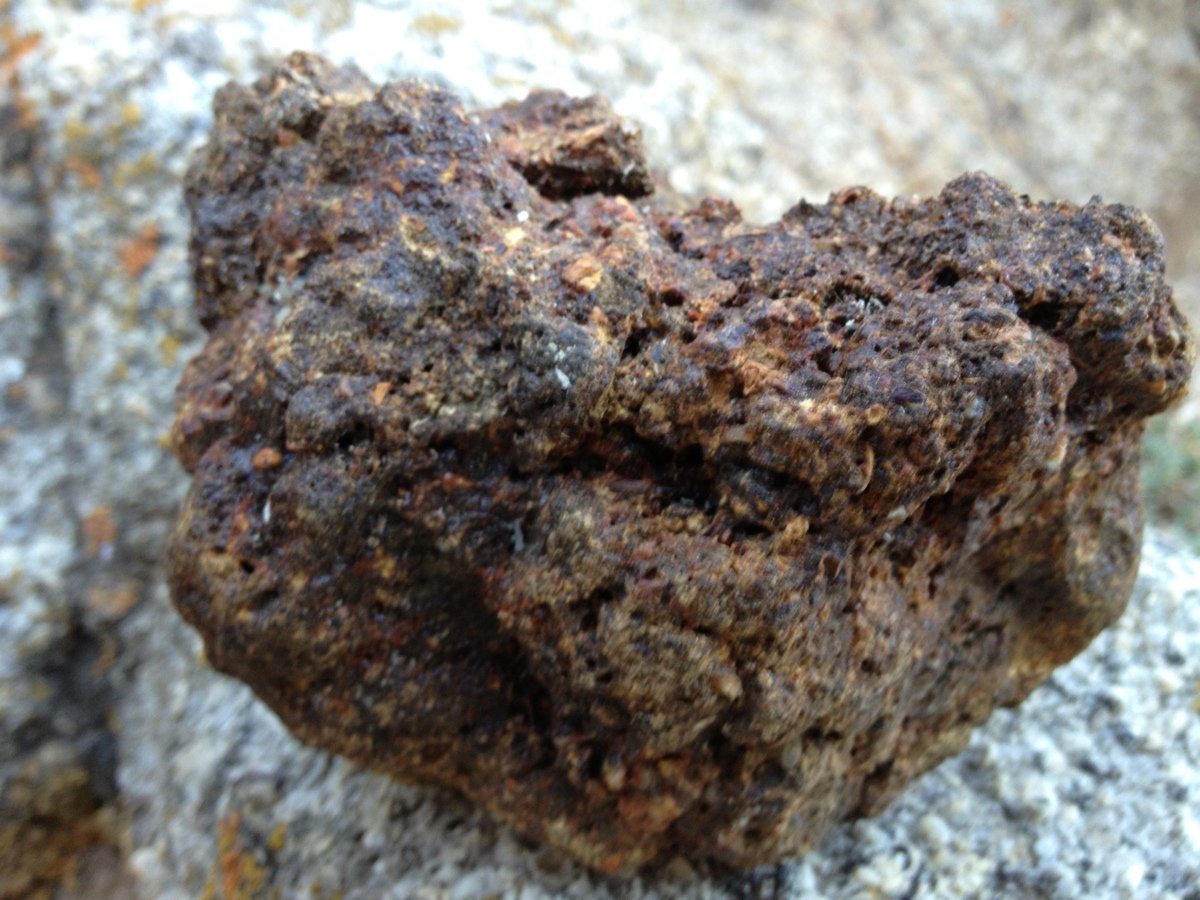 Shilajit: The ultimate natural supplement for enhanced health