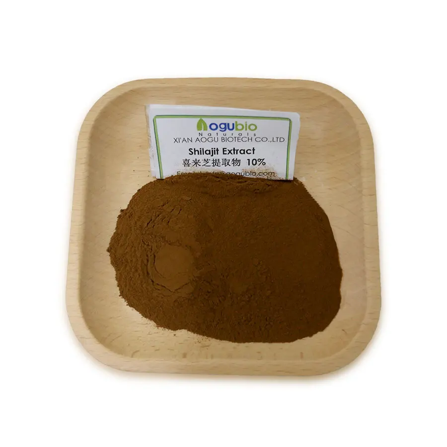 shilajit extract powder