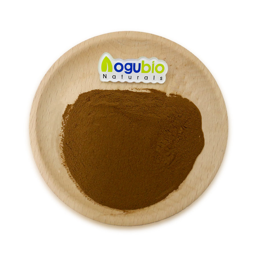 shilajit extract powder