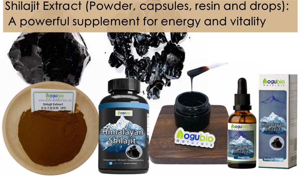 Shilajit Extract (Powder, capsules, resin and drops): A powerful supplement for energy and vitality